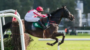 A Jump Horse going over a fence with the jockey in a seated position